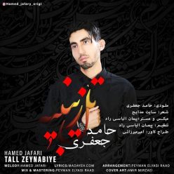 Hamed jafari   –    Tall Zeynabiye